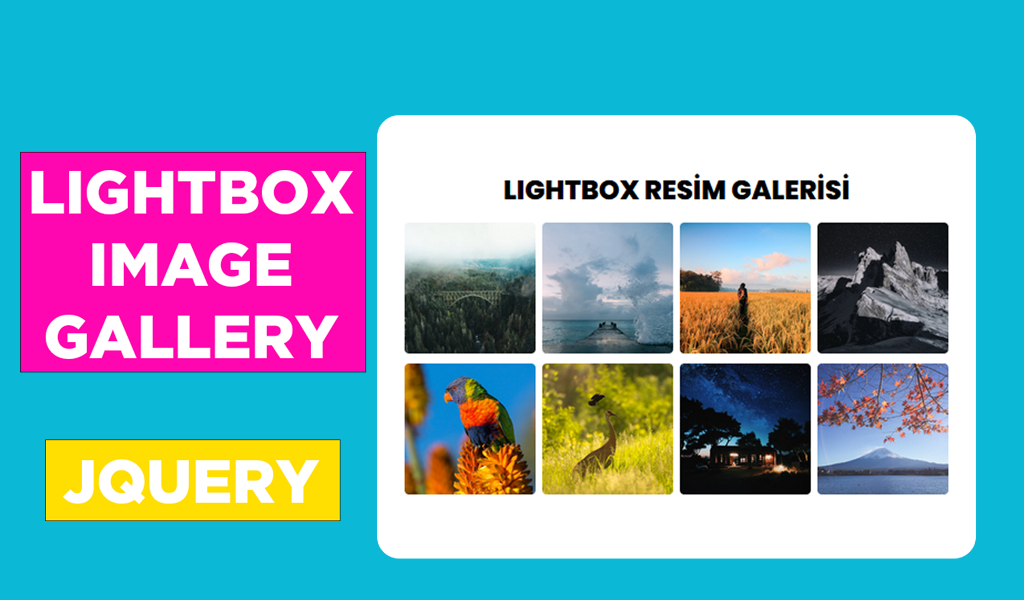 lightbox-gallery.png